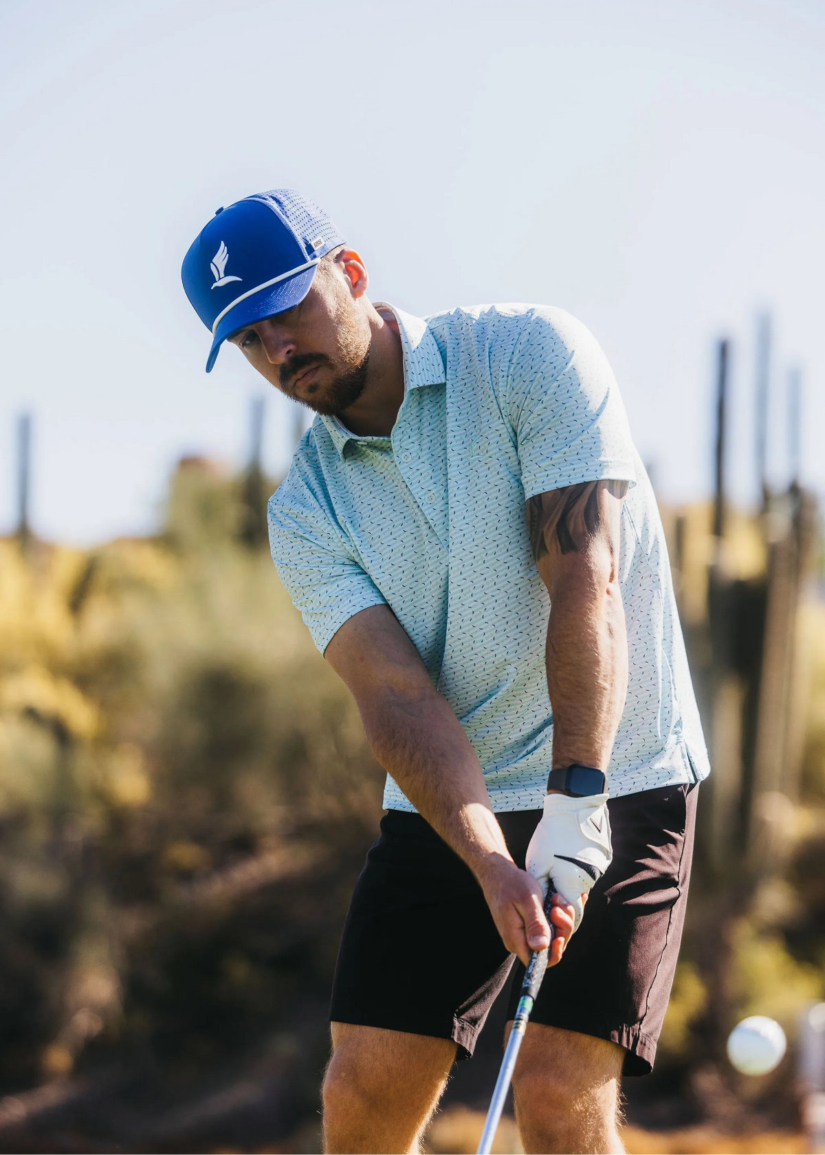 Albatross Polo